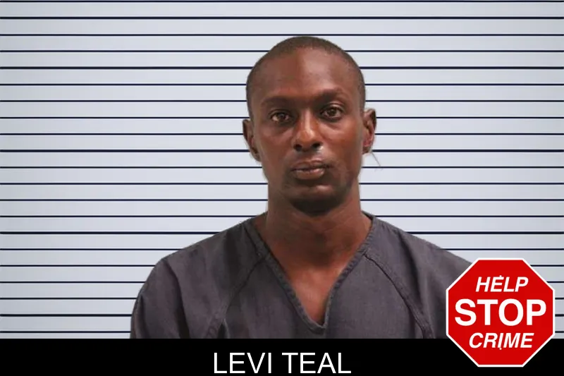 Levi Teal mugshot – Grady County , Georgia Levi Teal mugshot
