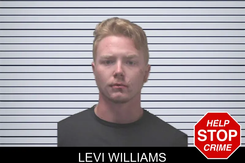 Levi Williams mugshot