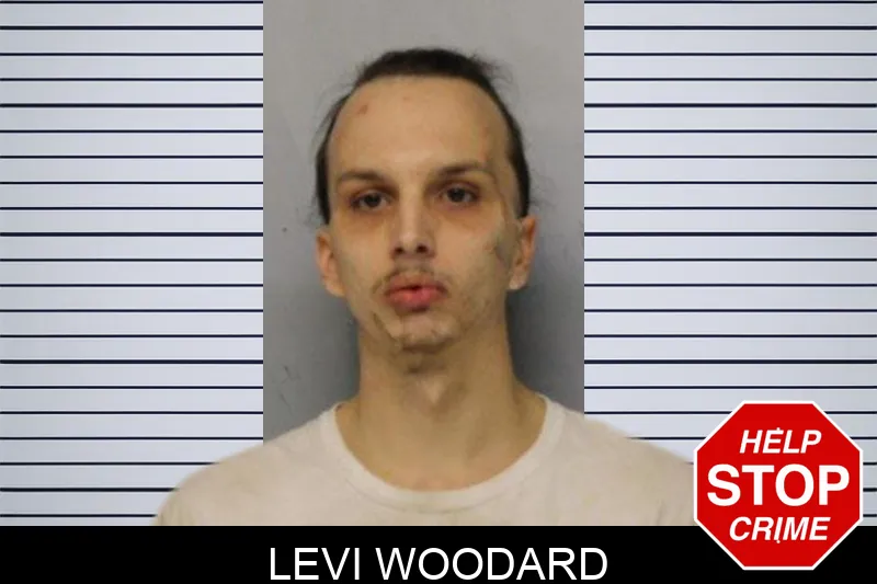 Levi Woodard mugshot – Hall County , Georgia Levi Woodard mugshot