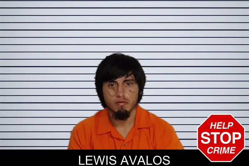 Lewis Avalos mugshot – Rockdale County , Georgia Lewis Avalos mugshot