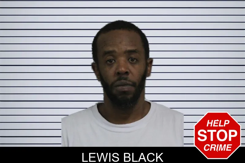 Lewis Black mugshot