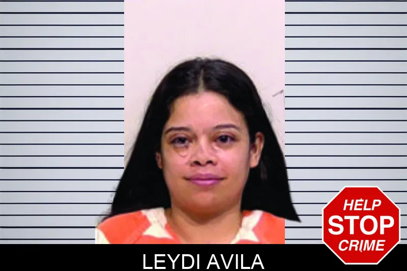 Leydi Avila mugshot