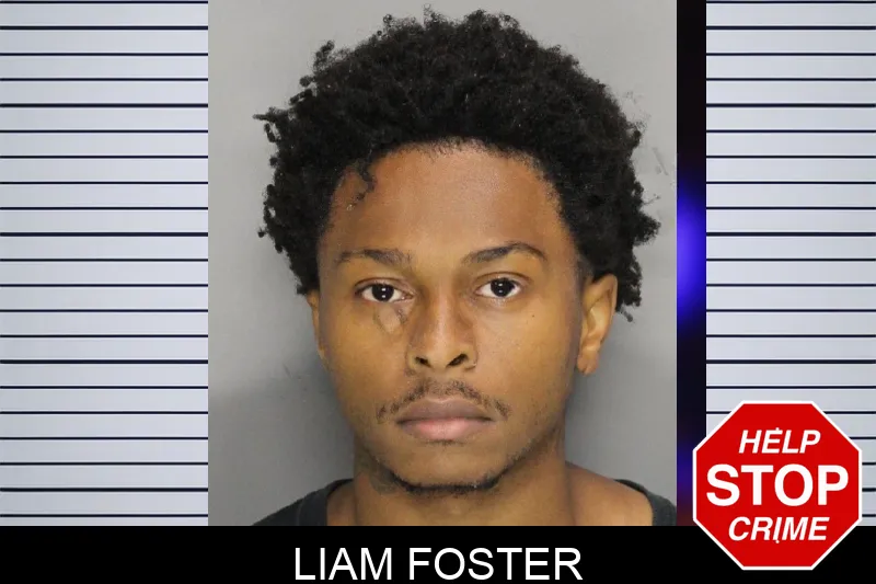 Liam Foster mugshot