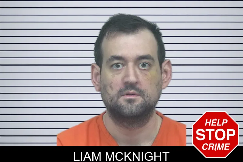 Liam McKnight mugshot – Gwinnett County , Georgia Liam McKnight mugshot