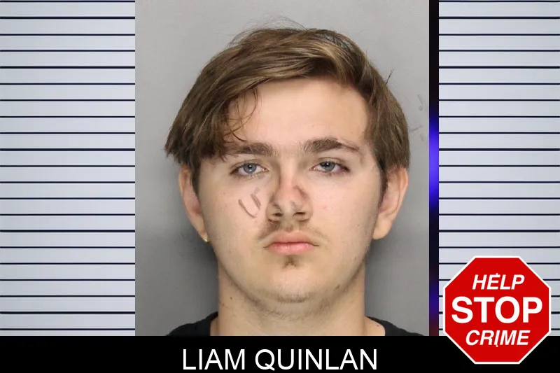 Liam Quinlan mugshot