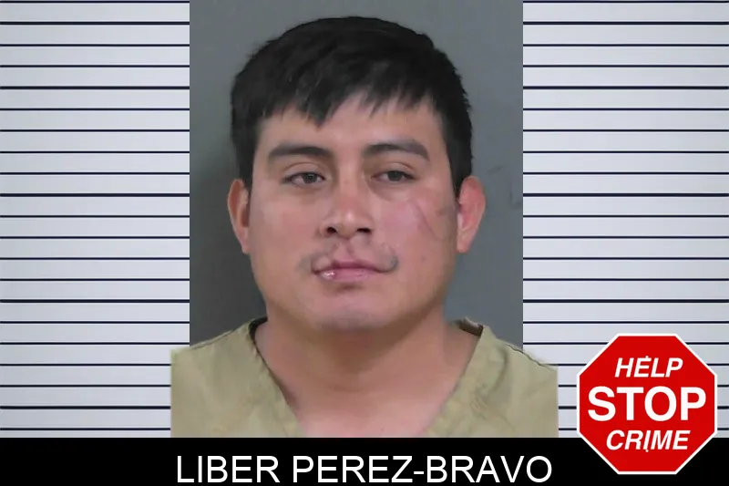 Liber Perez-Bravo mugshot