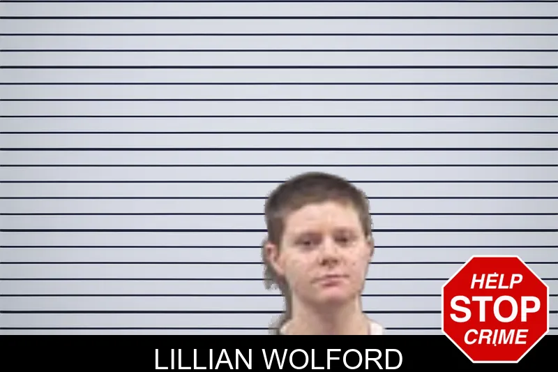 Lillian Wolford mugshot
