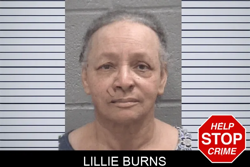 Lillie Burns mugshot – Columbia County , Georgia Lillie Burns mugshot
