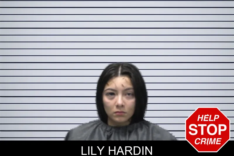 Lily Hardin mugshot