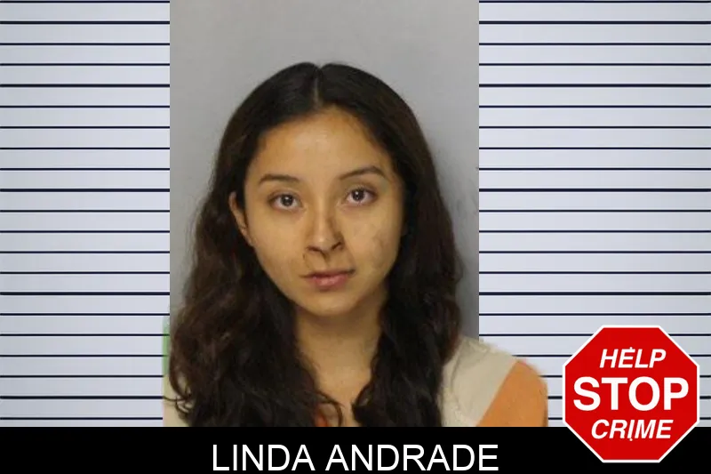 Linda Andrade mugshot – Hall County , Georgia Linda Andrade mugshot