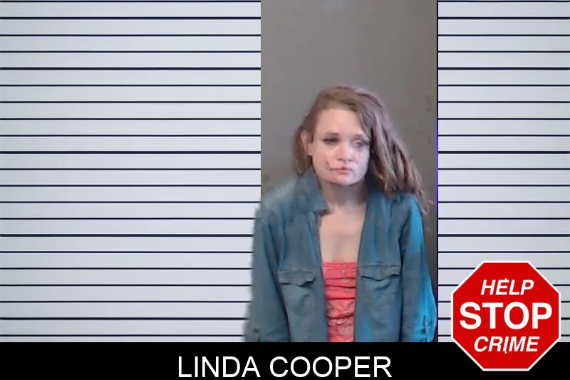 Linda Cooper mugshot