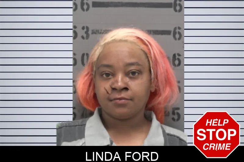 Linda Ford mugshot