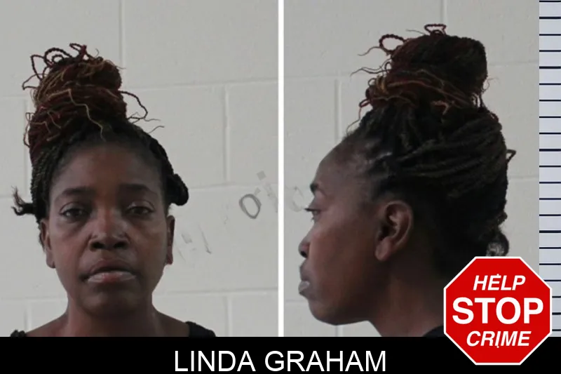 Linda Graham mugshot – Houston County , Georgia Linda Graham mugshot