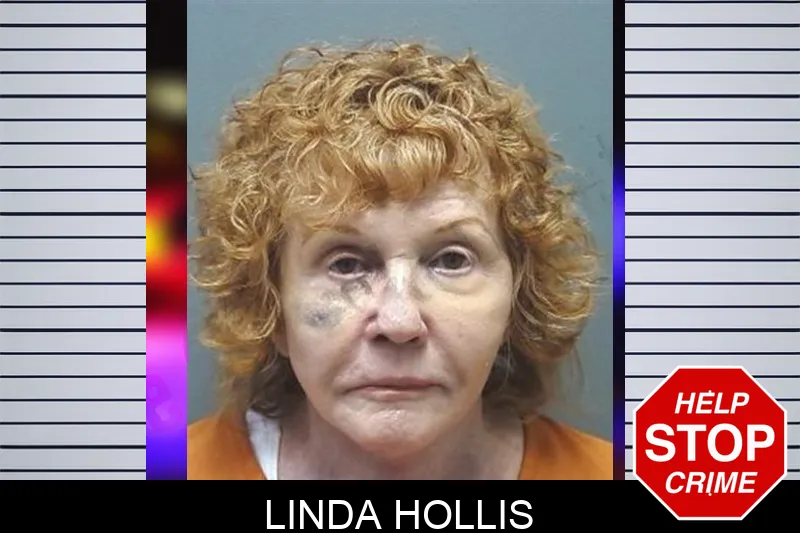 Linda Hollis mugshot