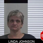 Linda Johnson mugshot