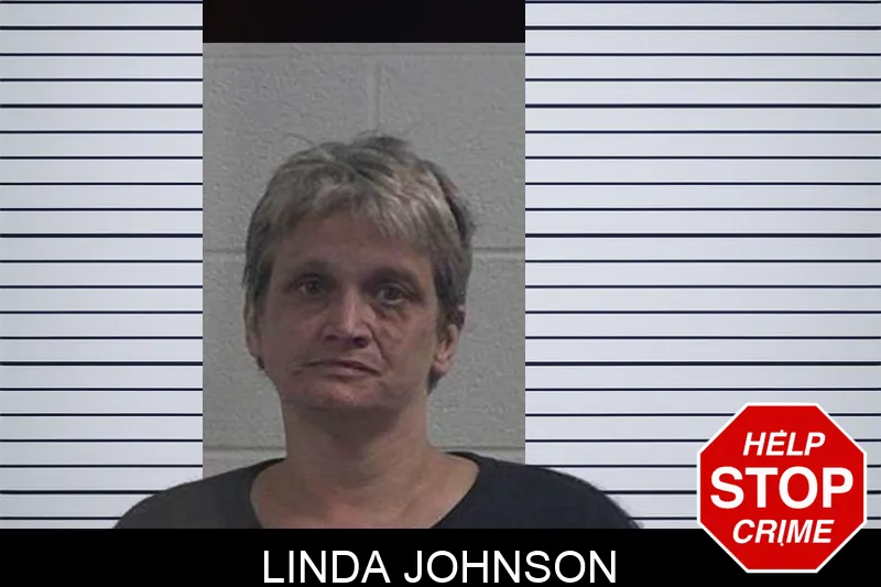 Linda Johnson mugshot