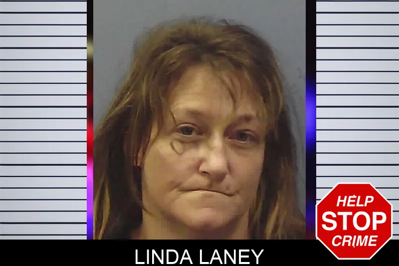 Linda Laney mugshot
