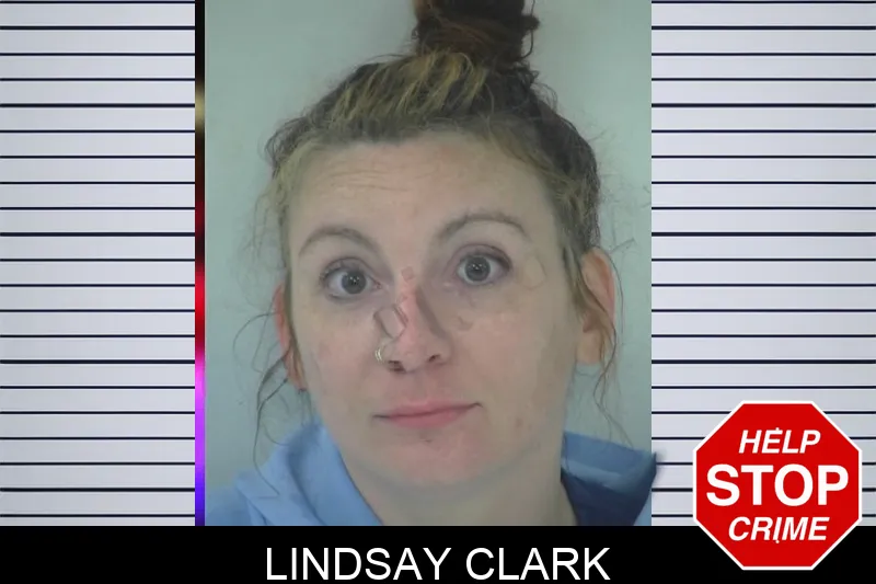 Lindsay Clark mugshot