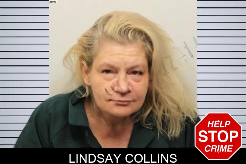 Lindsay Collins mugshot