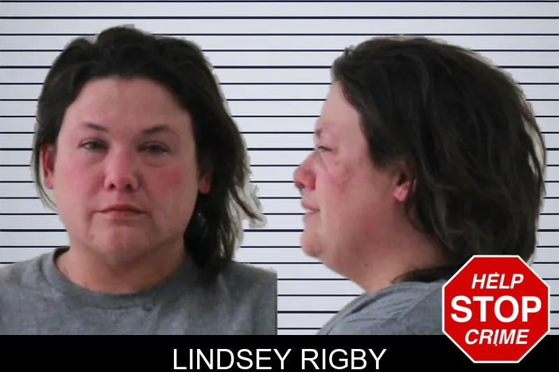 Lindsey Rigby mugshot – Houston County , Georgia Lindsey Rigby mugshot