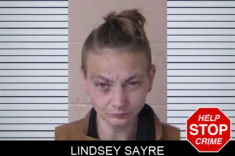 Lindsey Sayre mugshot – Walker County , Georgia Lindsey Sayre mugshot