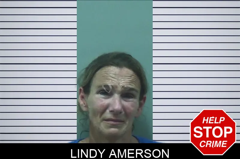 Lindy Amerson mugshot – Bleckley County , Georgia Lindy Amerson mugshot