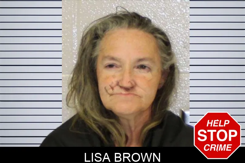 Lisa Brown mugshot