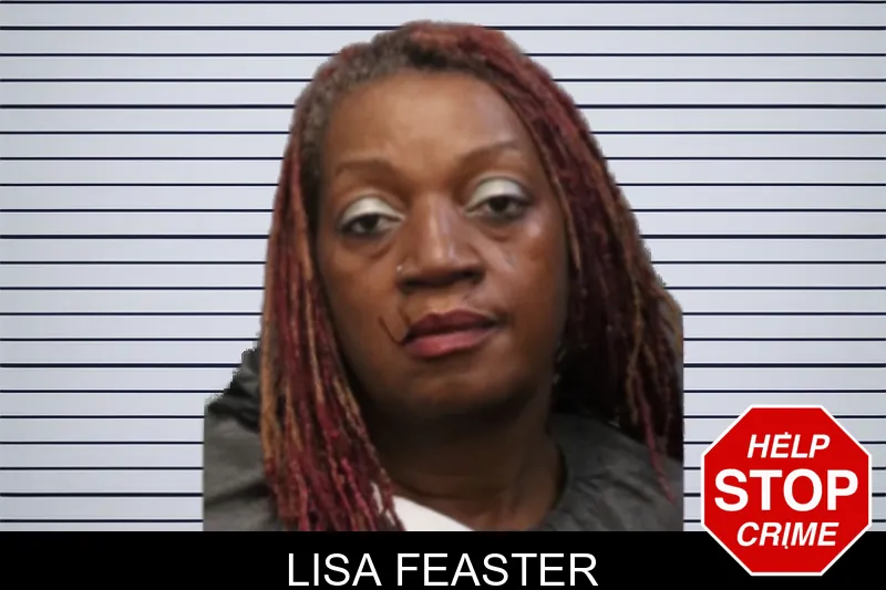 Lisa Feaster mugshot – Forsyth County , Georgia Lisa Feaster mugshot