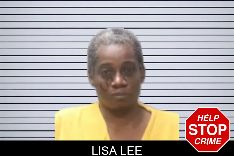 Lisa Lee mugshot