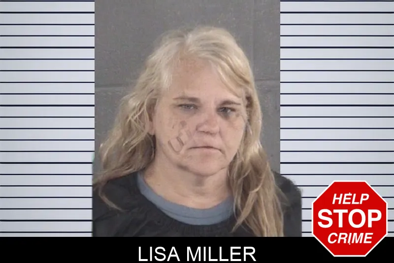 Lisa Miller mugshot