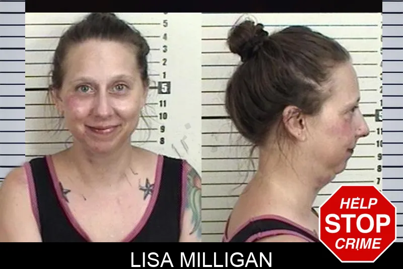 Lisa Milligan mugshot