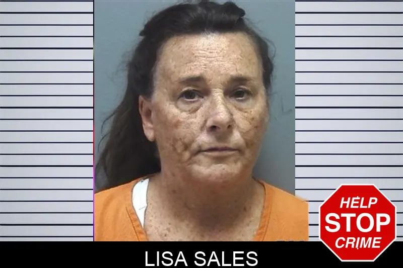 Lisa Sales mugshot