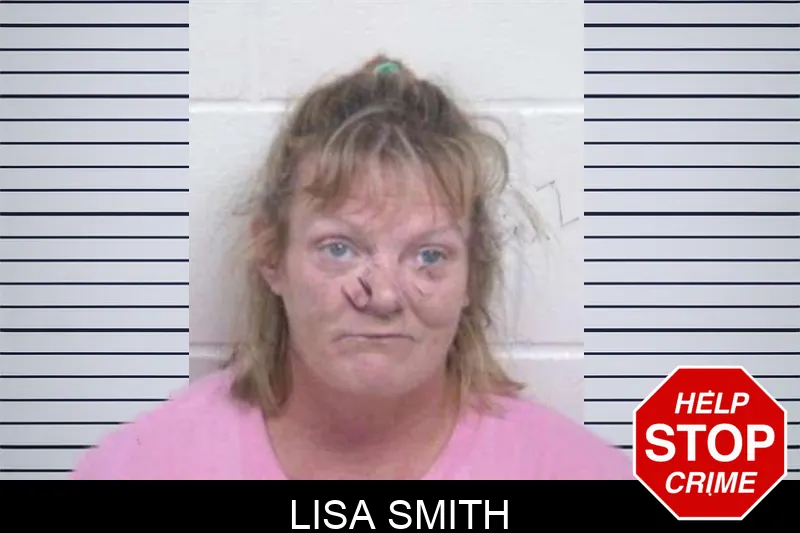 Lisa Smith mugshot