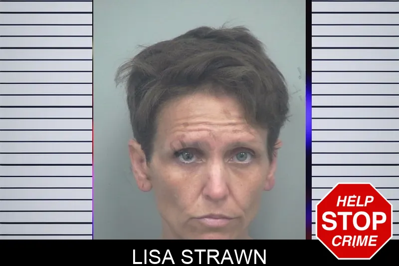 Lisa Strawn mugshot