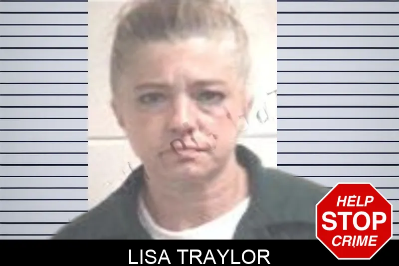 Lisa Traylor mugshot