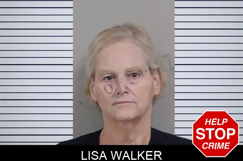 Lisa Walker mugshot