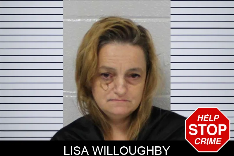 Lisa Willoughby mugshot – Carroll County , Georgia Lisa Willoughby mugshot