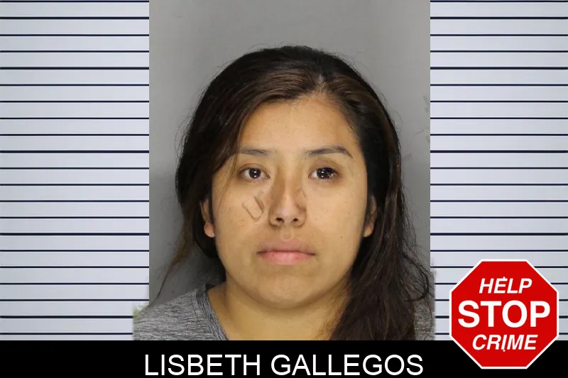 Lisbeth Gallegos mugshot