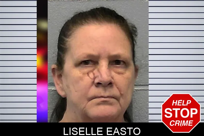 Liselle Easto mugshot – Ware County , Georgia Liselle Easto mugshot