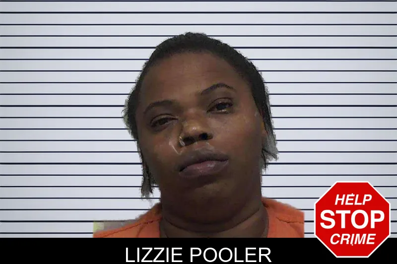 Lizzie Pooler mugshot