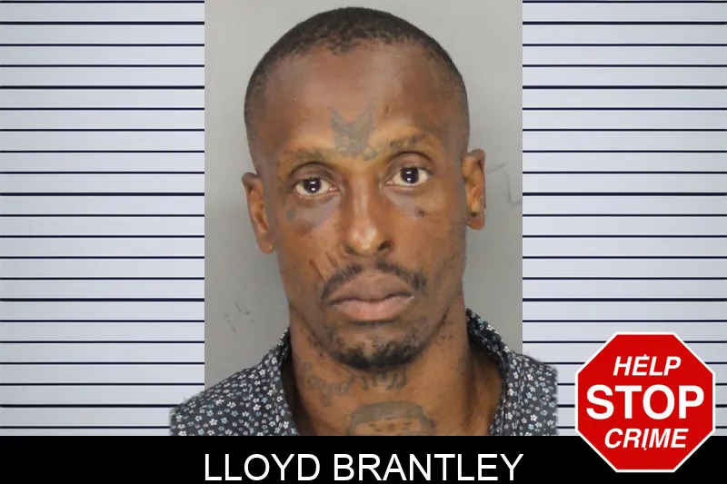Lloyd Brantley mugshot – Cobb County , Georgia Lloyd Brantley mugshot