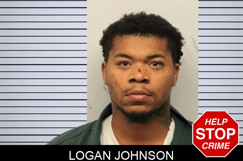 Logan Johnson mugshot