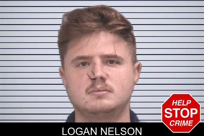 Logan Nelson mugshot
