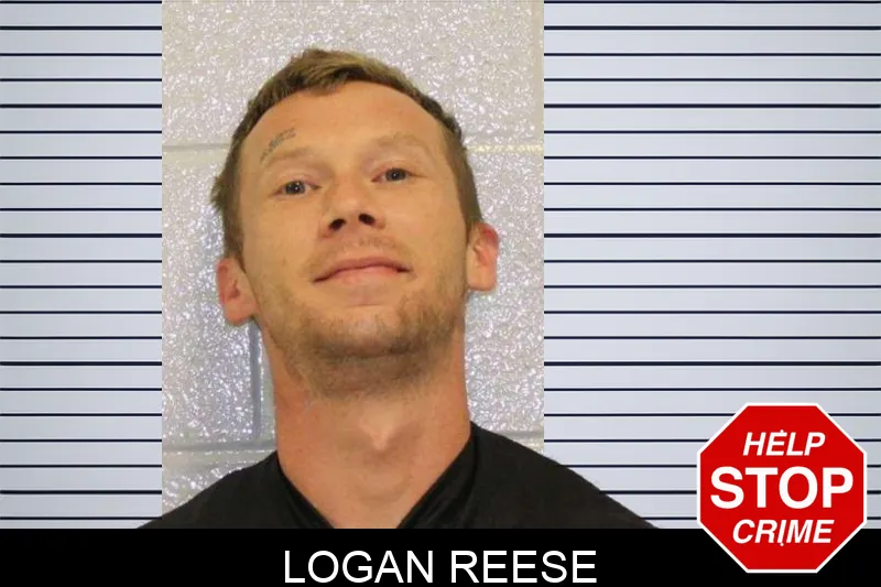 Logan Reese mugshot – Carroll County , Georgia Logan Reese mugshot