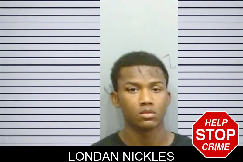 Londan Nickles mugshot