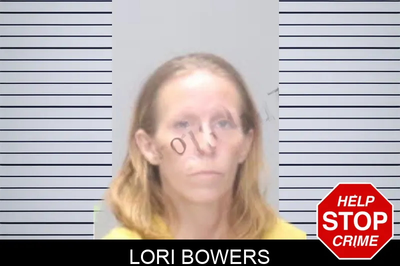 Lori Bowers mugshot