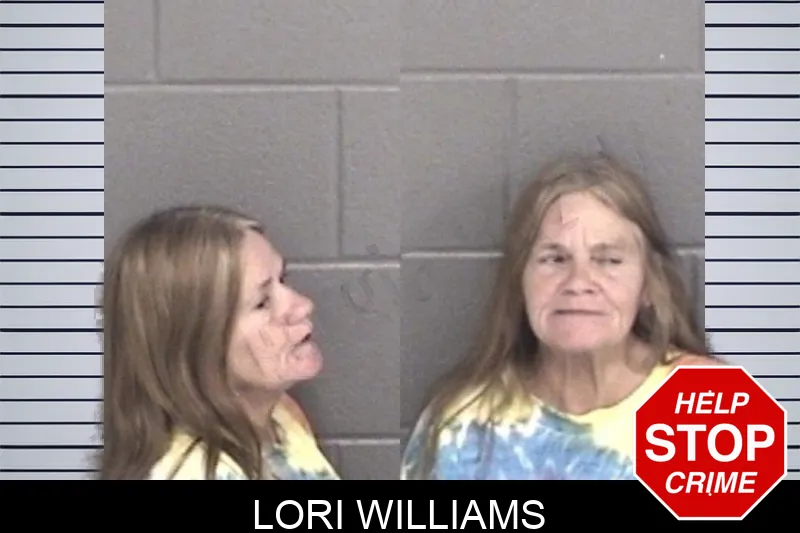 Lori Williams mugshot