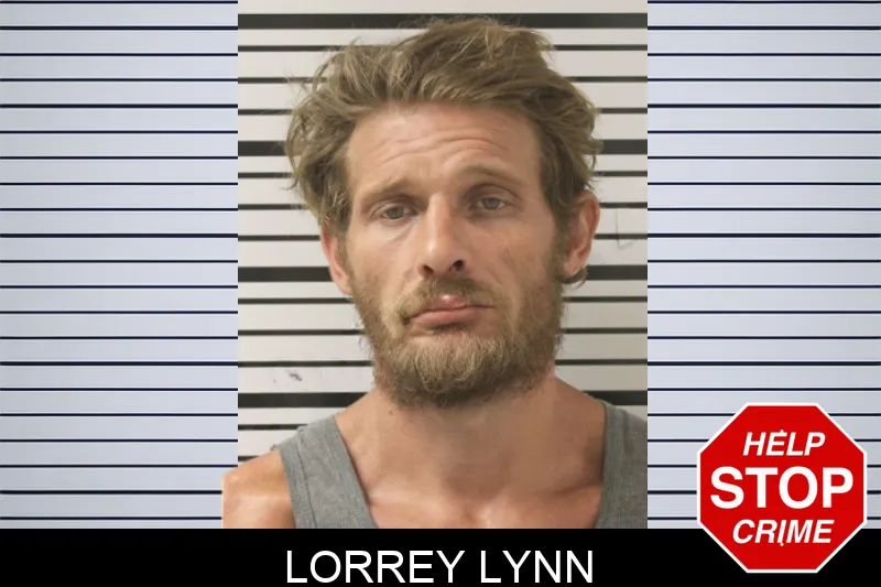 Lorrey Lynn mugshot – Toombs County , Georgia Lorrey Lynn mugshot