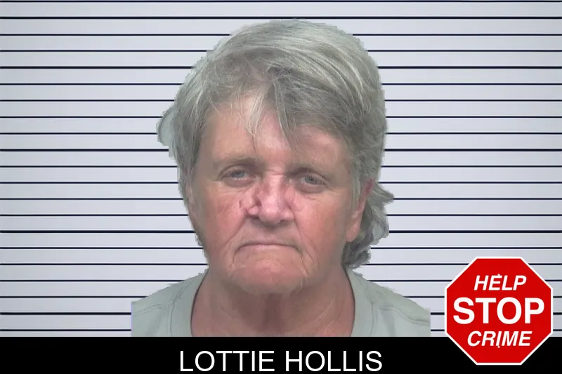 Lottie Hollis mugshot – Gwinnett County , Georgia Lottie Hollis mugshot
