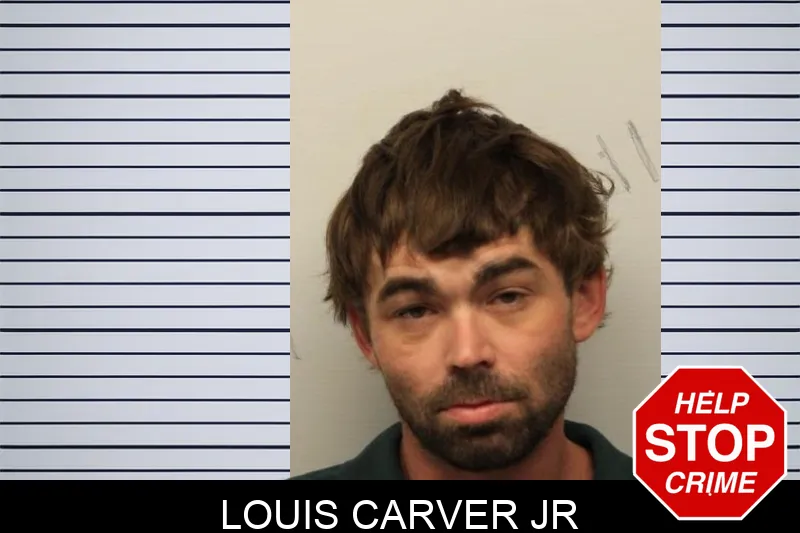 Louis Carver Jr mugshot